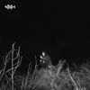 Sagong - 30