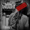 Visions Of Disfigurement - Miscreated