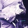 Catching Chickens