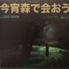 Lord Huron - Meet Me in the Woods