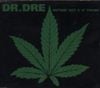 Dr. Dre - Nuthin' but a 'G' Thang