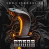 USAO - Cobra