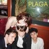 Homogénica - PLAGA
