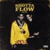 NLE Choppa - Shotta Flow 7 [Remix]