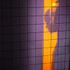 The Caracal Project - Self reflections: