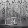 Ağaçkakan - FERNWEH