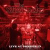The Sherlocks - Live at Sheffield