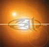 311 - Amber