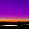 Underworld - Fen Violet