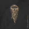 Midas Fall - Cold Waves Divide Us