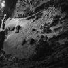 Four Tet - Scientists