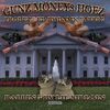 Damn Fabric - Gunz Money$ Hoez