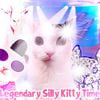 Jvly38! - Legendary Silly Kitty Time