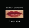Adriana Calcanhotto - Cantada