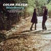 Color Filter - blueberry