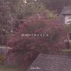 old collin - synesthesia