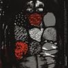 twenty one pilots - Blurryface + Heathens