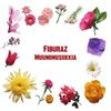 Fiburaz - Muumimusiikkia