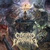 Cerebral Engorgement - Cerebral Chronicles
