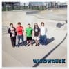 widowdusk - widowdusk