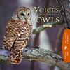 The Cornell Lab Of Ornithology - Voices of North American Owls