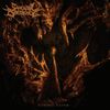Sarcastic Obedience - Fading Faith