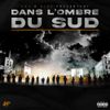 84° - Dans l'ombre du sud