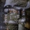User116 - SB116