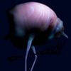 Arca - &&&&&
