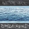 Awesomesauce - On The Riverbed