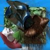 woopheadclrms - Meeting Room + Rare Plants