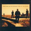 Frank Black and The Catholics - Dog In The Sand