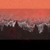 Stereo Type - Split