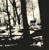 The Dead Land - Winter, Pt. 2