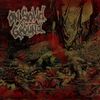 On Solid Ground - On Solid Ground