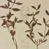 Kane Parsons - The Oldest View (Original Score), Vol. 1