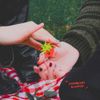 Cliffords - Strawberry Scented