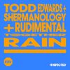 Todd Edwards - Rain