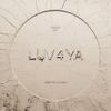 Destroy Lonely - LUV 4 YA