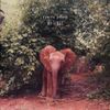 Damon Albarn - Mr. Tembo