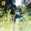 Rex Orange County - Sunflower