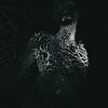 Ulcerate - To Flow Through Ashen Hearts