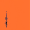 Thắng - N&oacute;