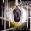 Brilliant Coldness - Poisoned Reality