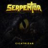 Cicatrizar