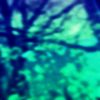 iZeo - Fish Life