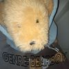 DANGUS - Genre: Bearboy