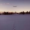 The Apology Club - Sorry