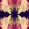 Consciousness