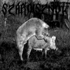 Szardisznók - Szardiszn&oacute;k